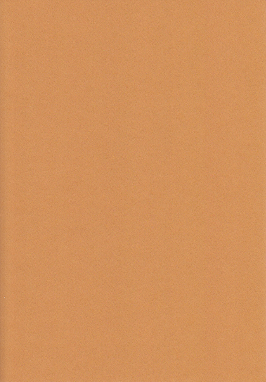 Cappuccino Brown A4 Card