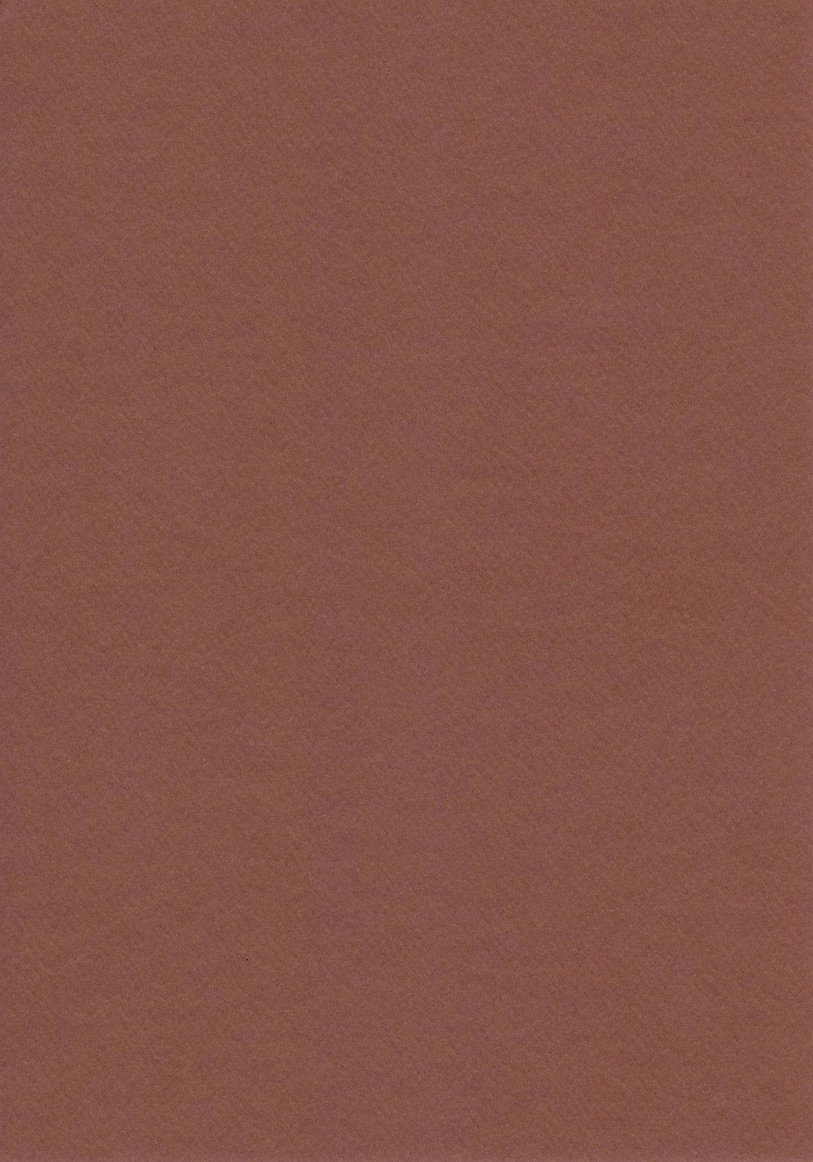 Chocolate Brown A4 Card