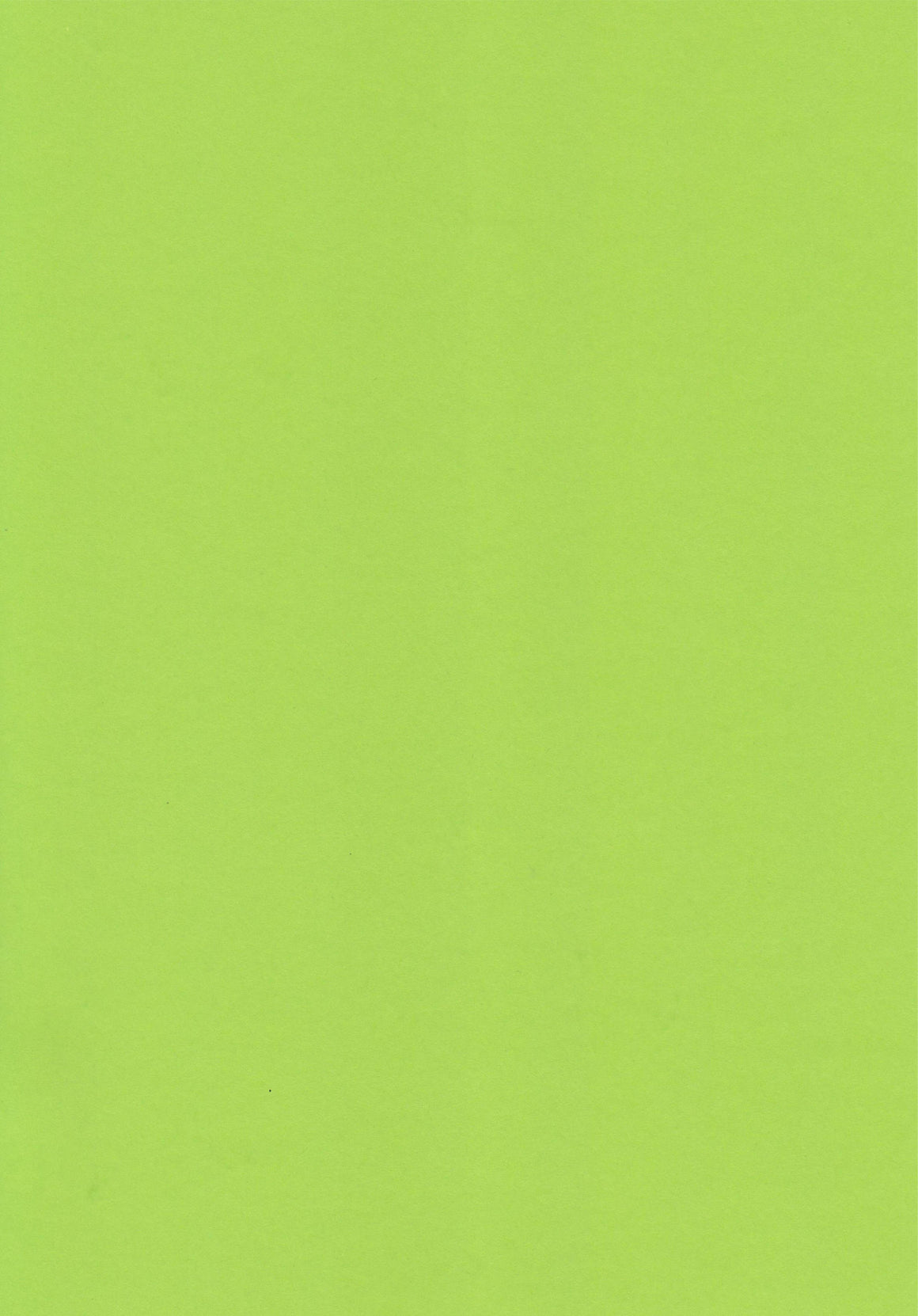 Parakeet Green A4 Card