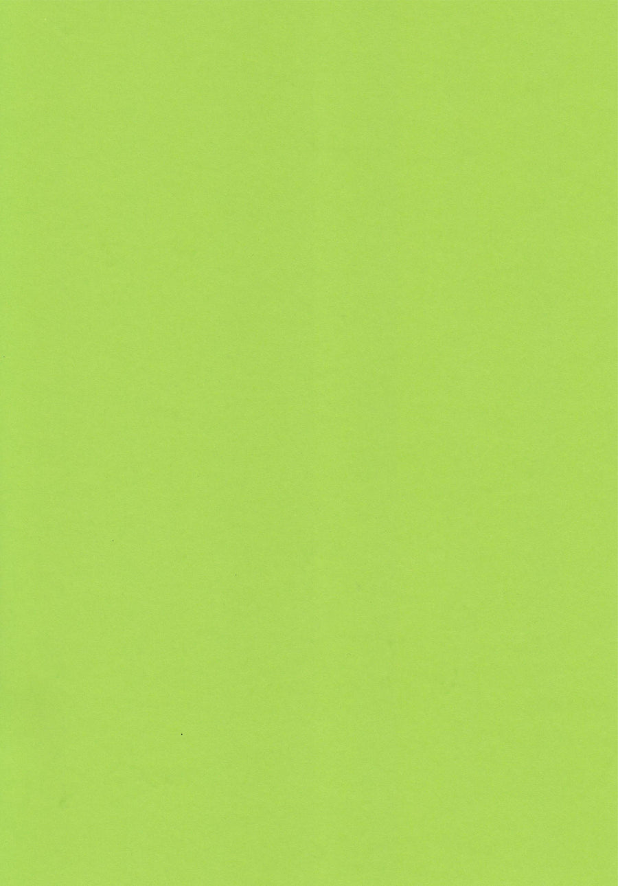 Parakeet Green A4 Card