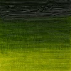 Sap Green Winsor and Newton Artists' oil  37ml tube