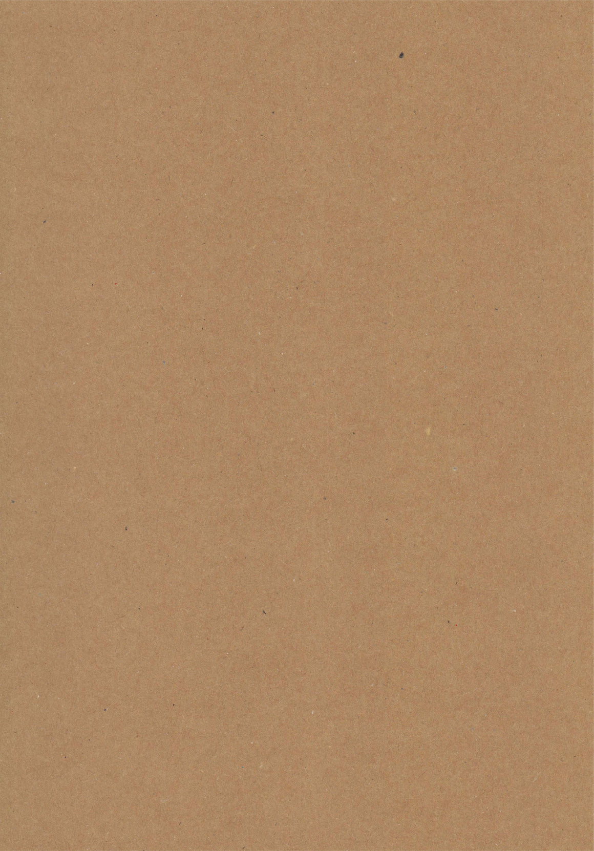 Vintage Kraft A4 Card