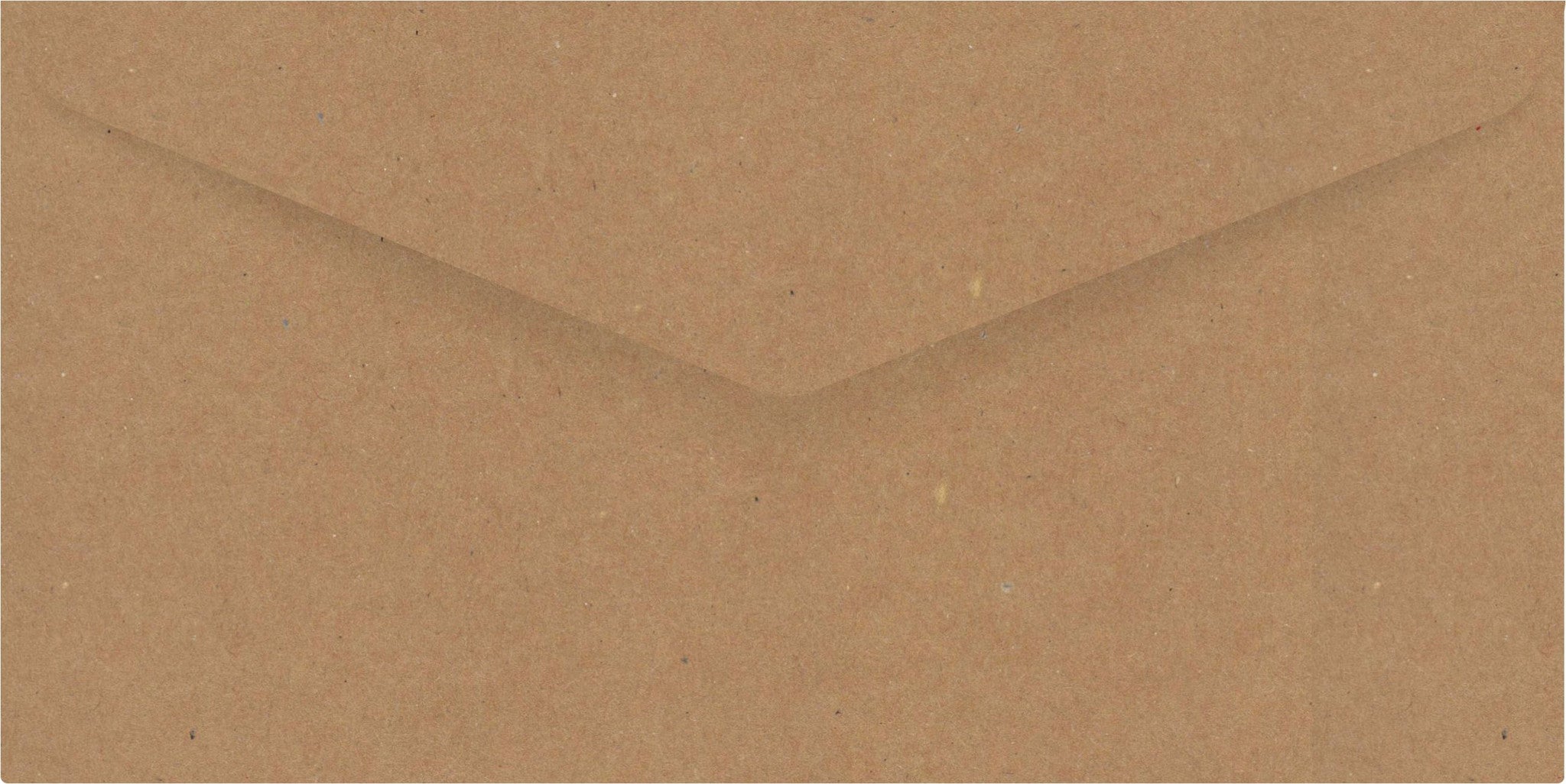 Vintage Kraft DL Envelope