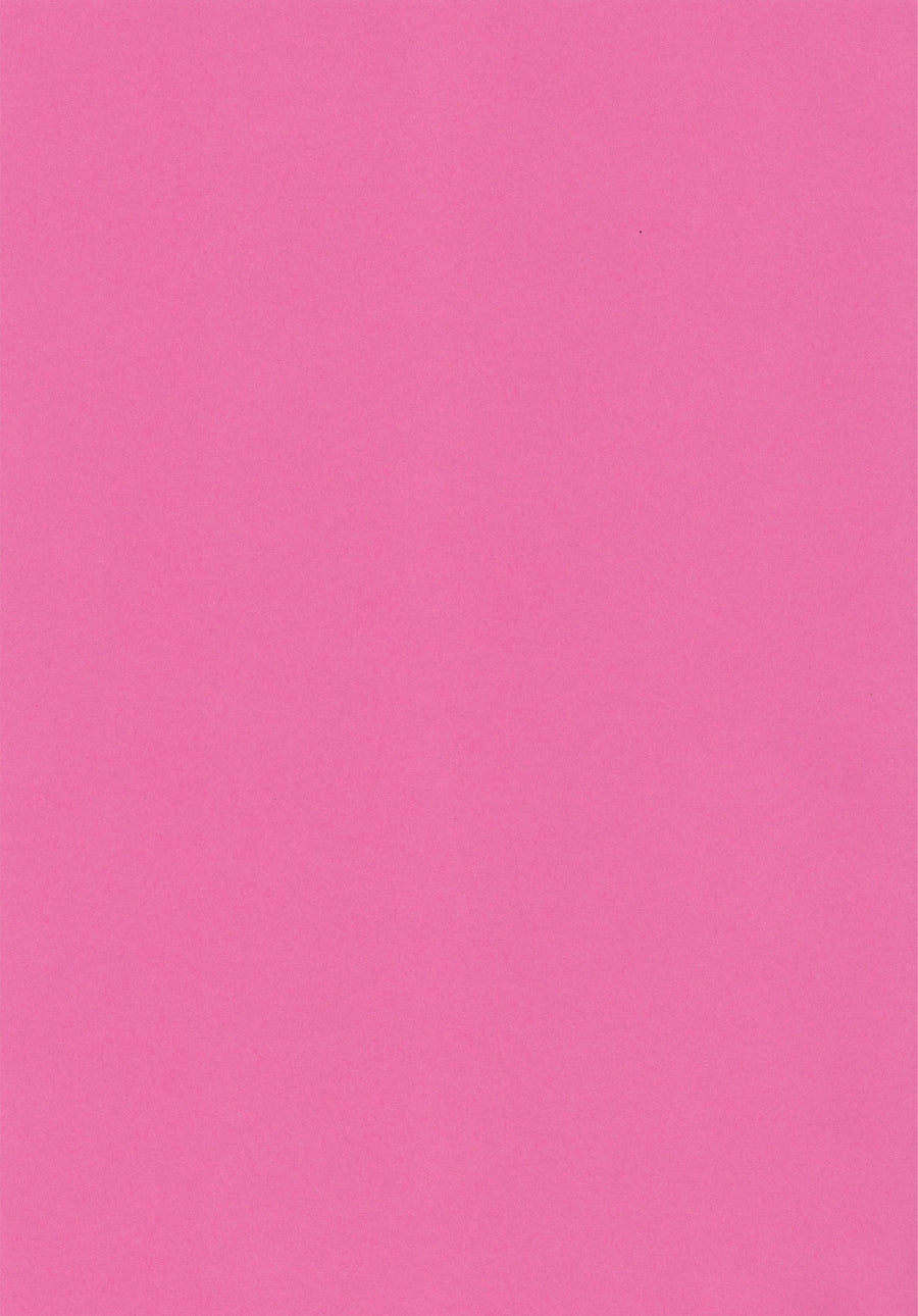 Bullfinch Pink A4 Card