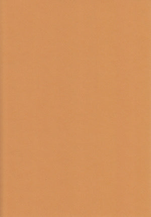 Cappuccino Brown A4 Card