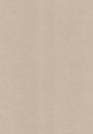 Champers A4 Paper