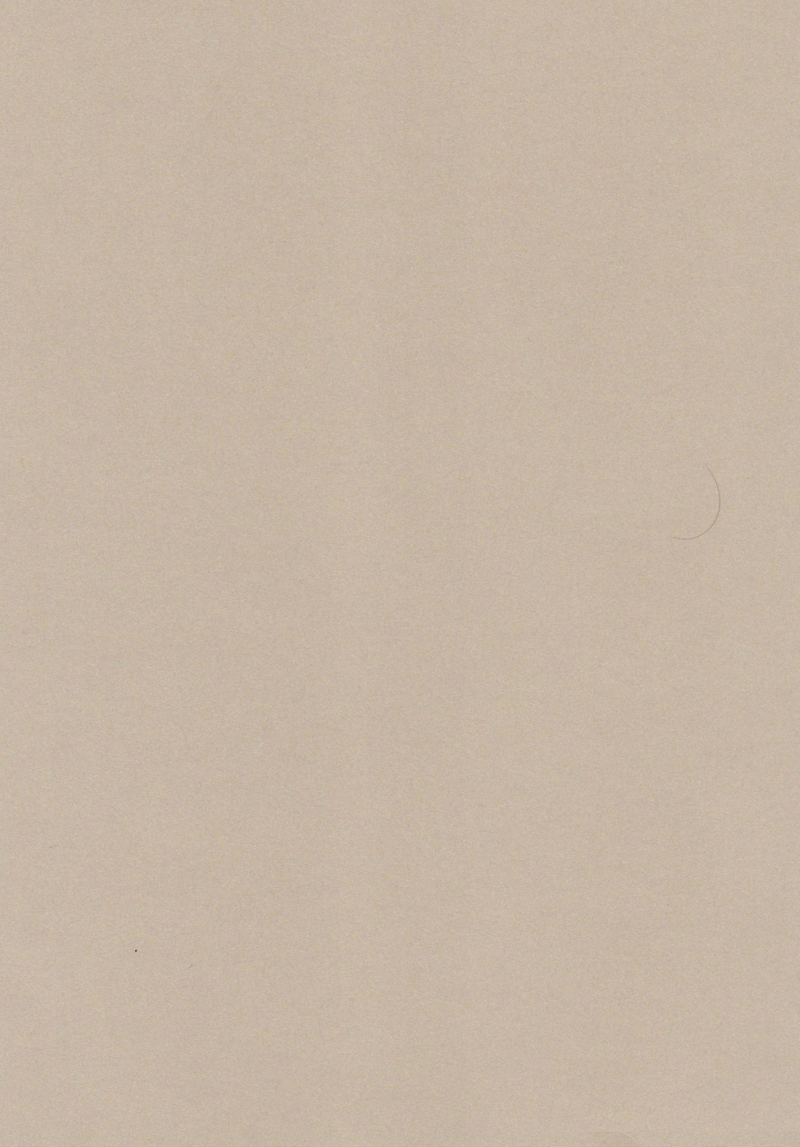 Champers A4 Paper