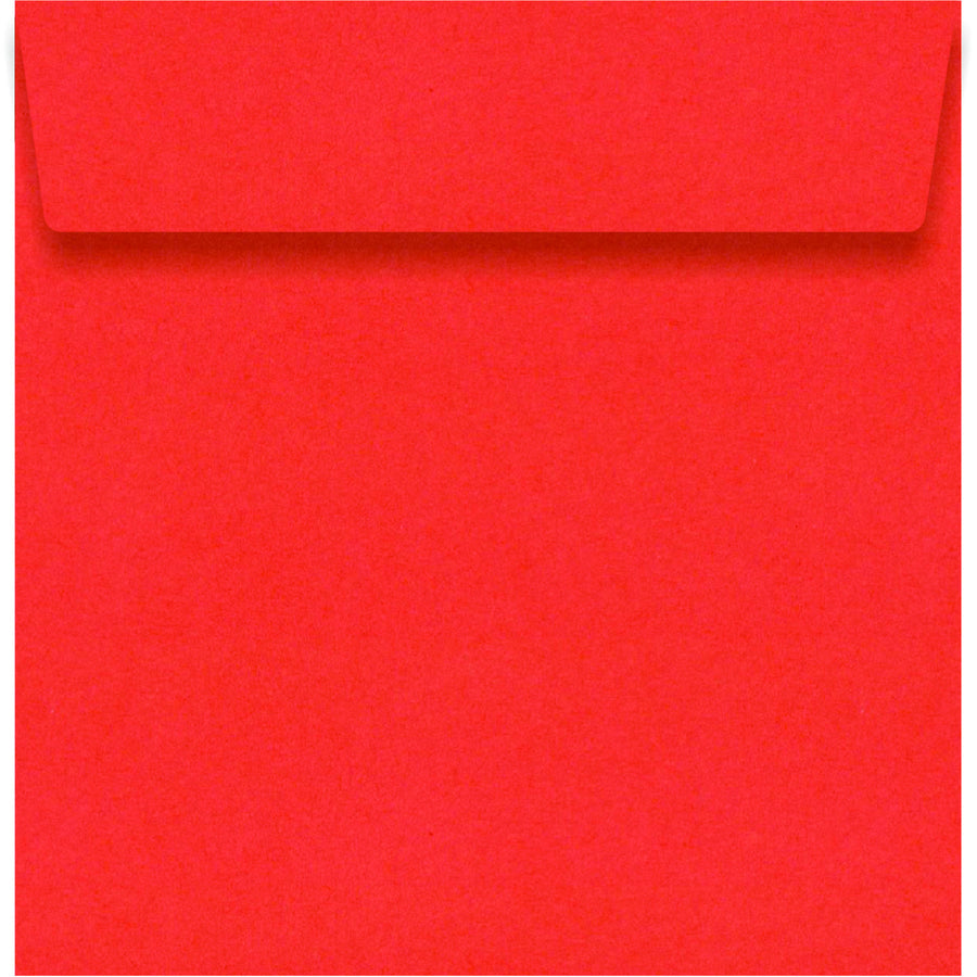 Fantail Orange 130 x 130mm Envelope