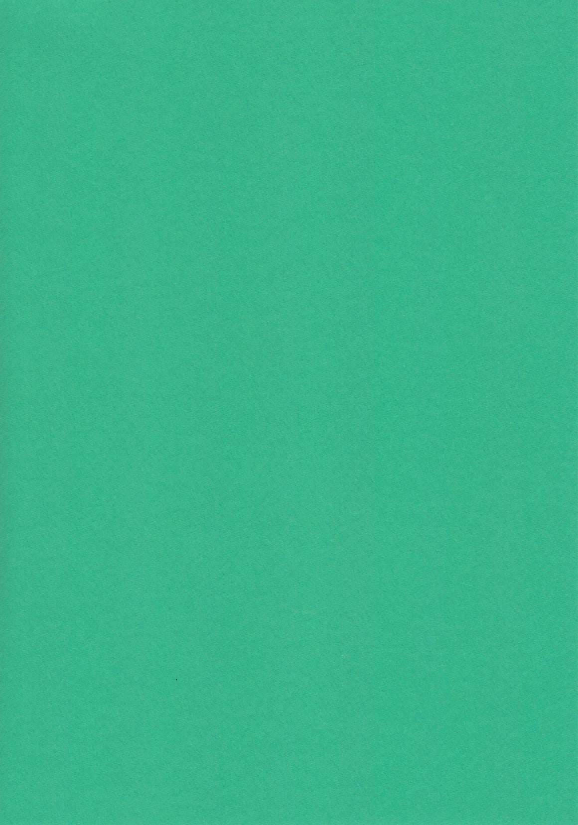 Green A4 Card