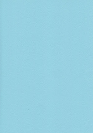 Light Blue A4 Card