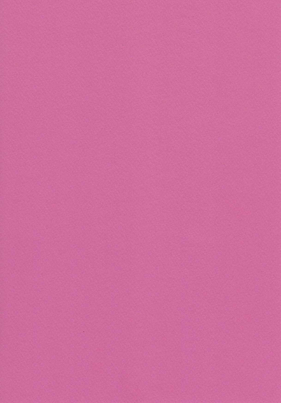 Pink Textured A4 Card