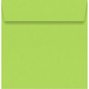 Parakeet Green 160 x 160mm