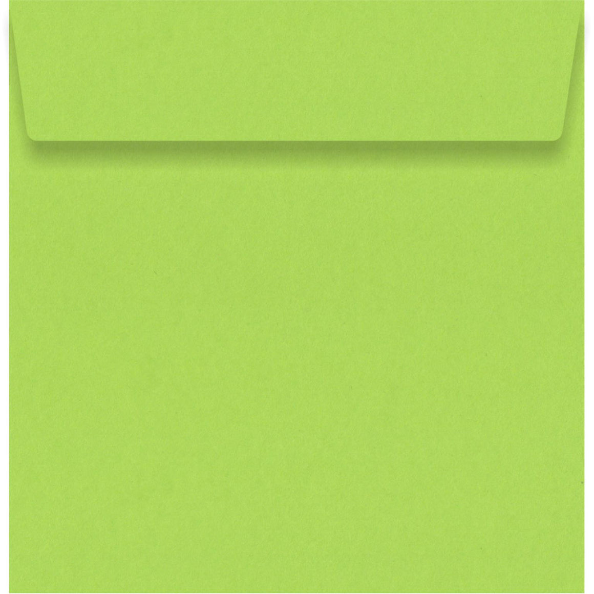 Parakeet Green 160 x 160mm