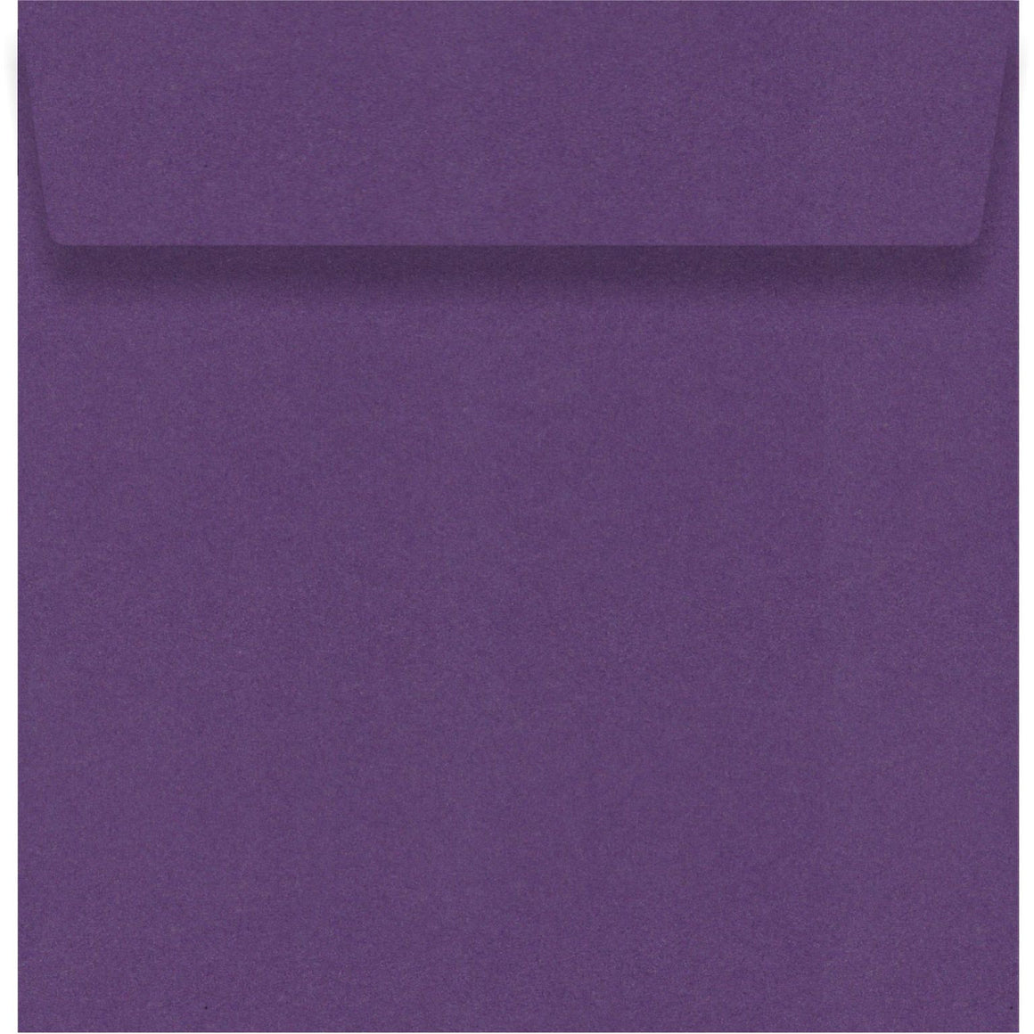 Violette 150 x 150mm