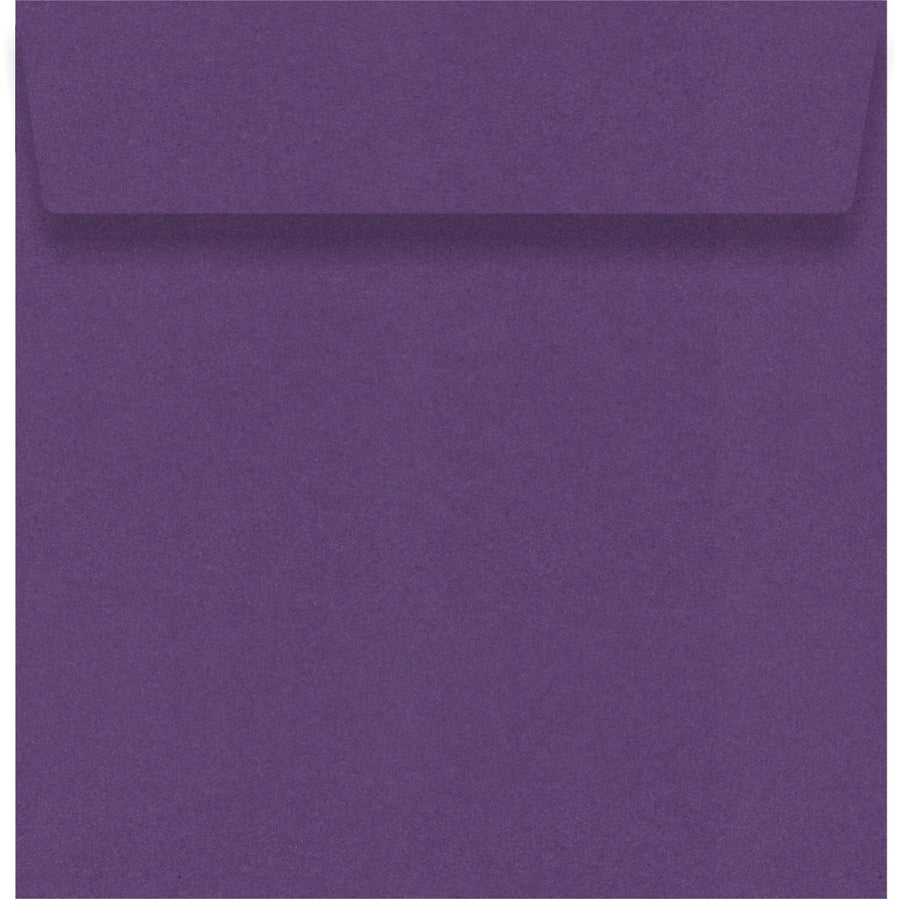 Violette 150 x 150mm