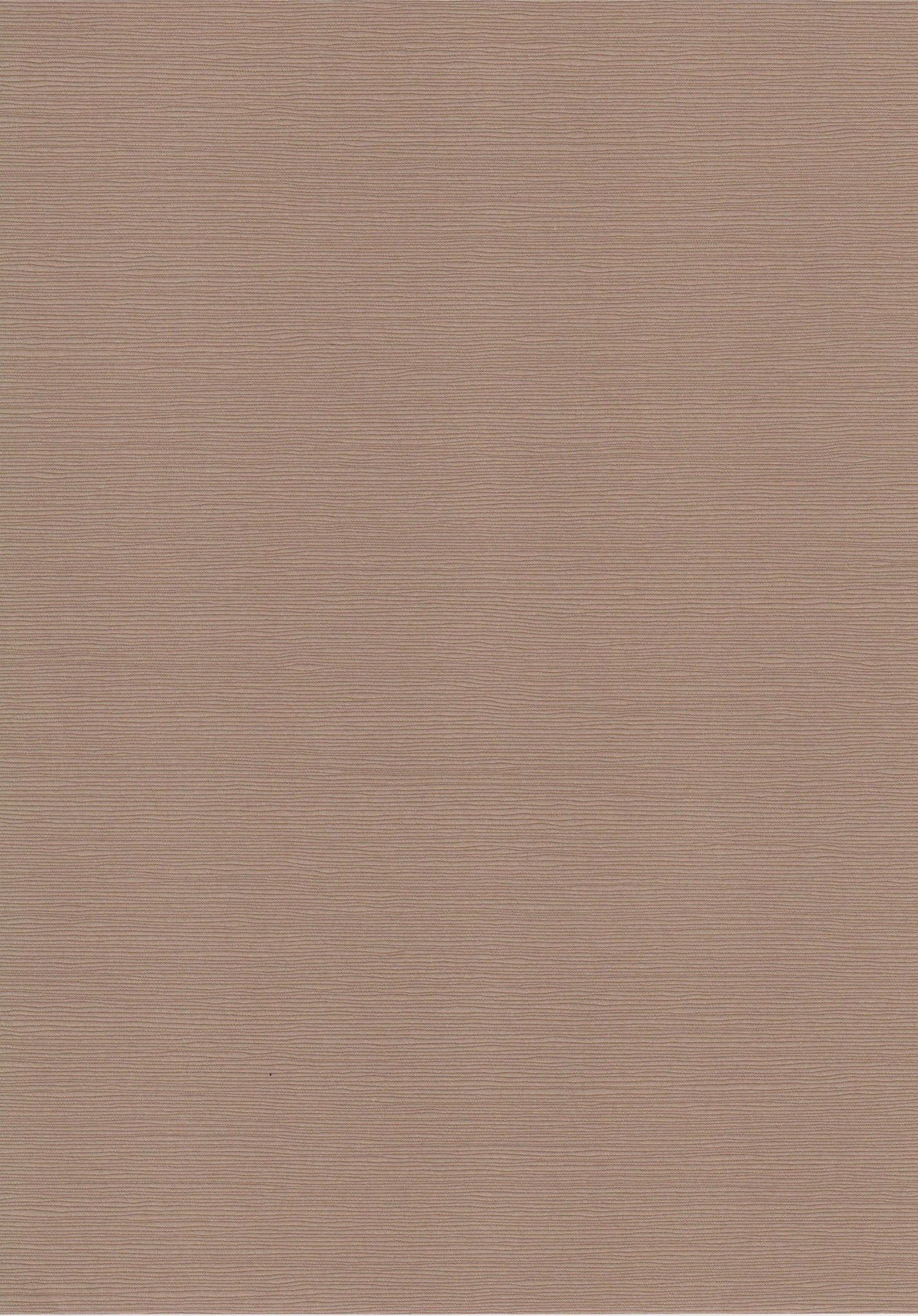 Zsa Zsa Caramel A4 Card