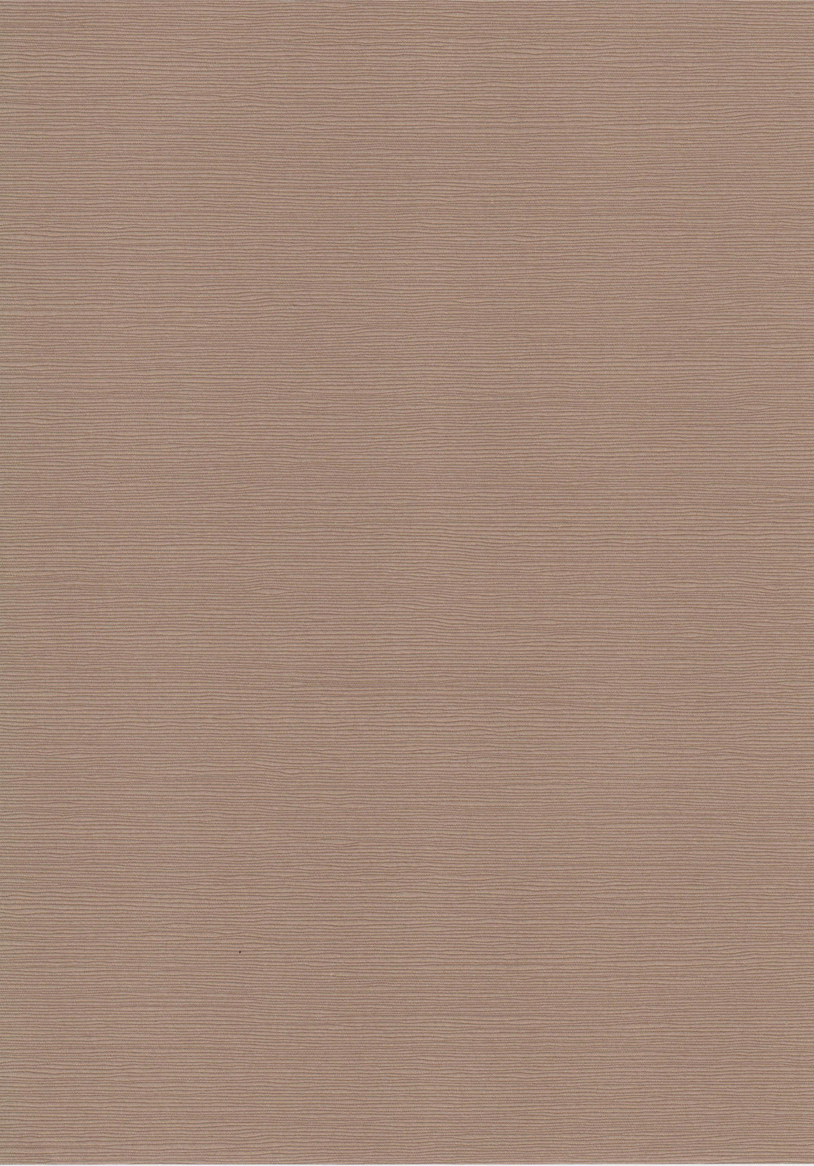 Zsa Zsa Caramel A4 Card