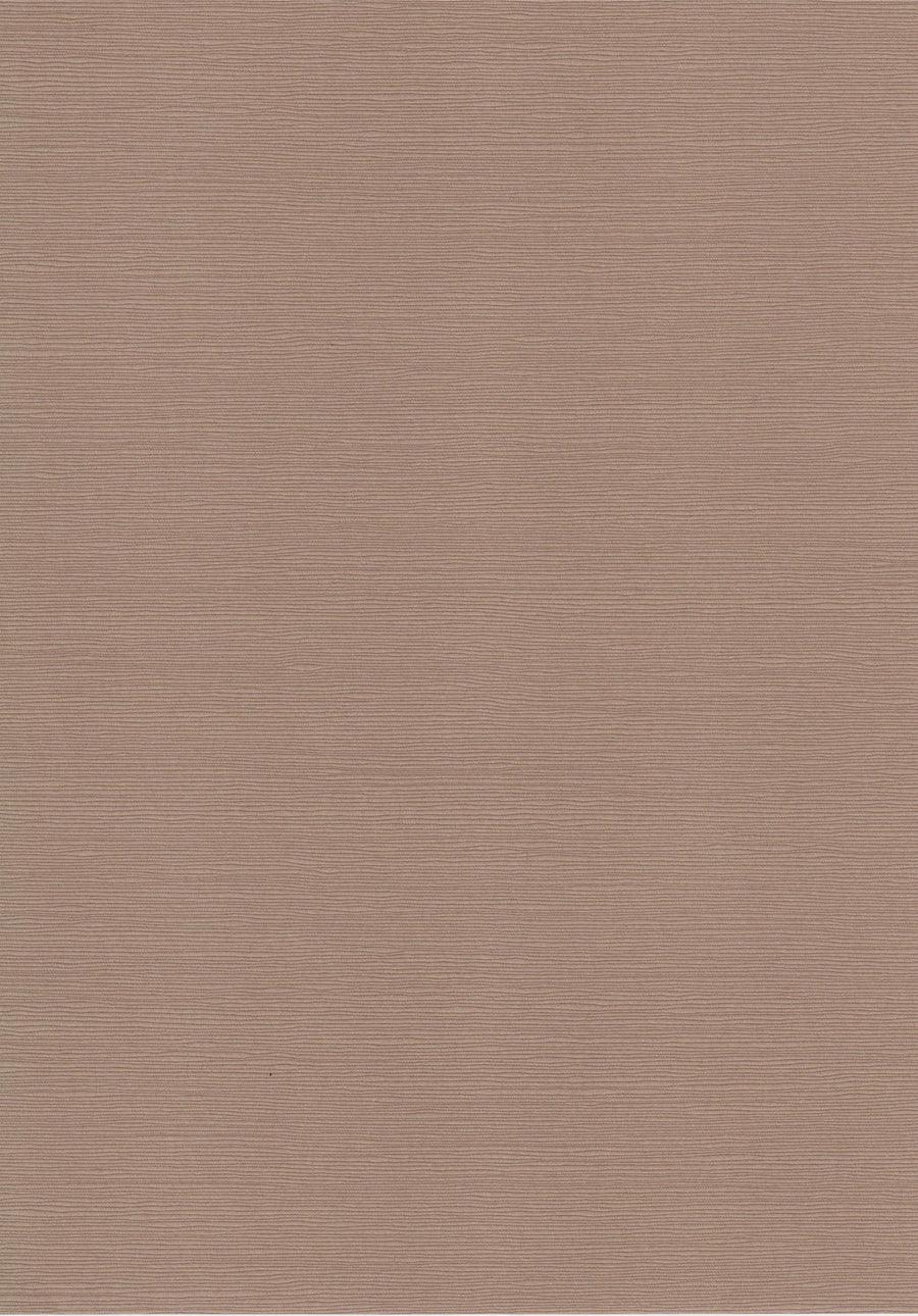 Zsa Zsa Caramel A4 Card