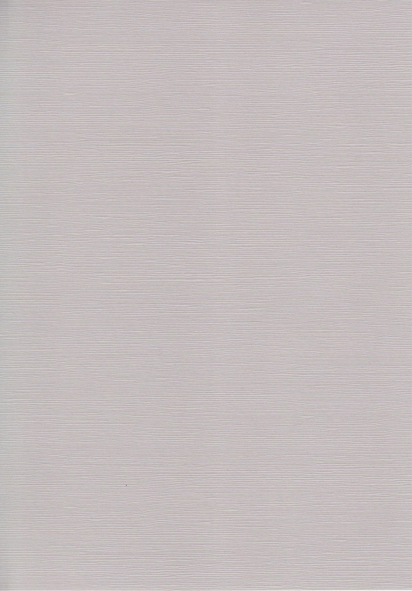 Zsa Zsa Mushroom A4 Card